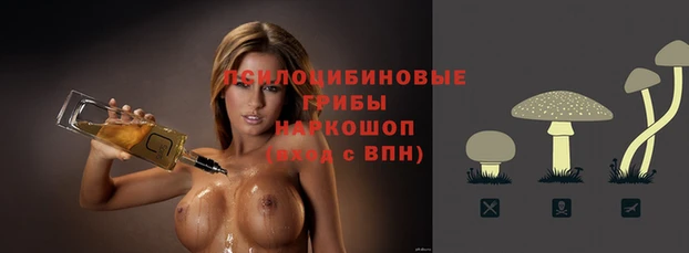 ешки Балахна
