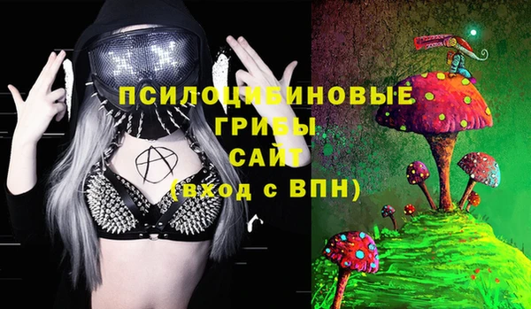 ECSTASY Баксан