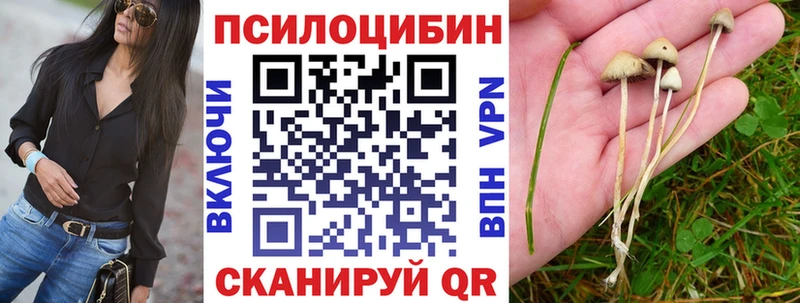 Псилоцибиновые грибы Psilocybe  Спас-Деменск 
